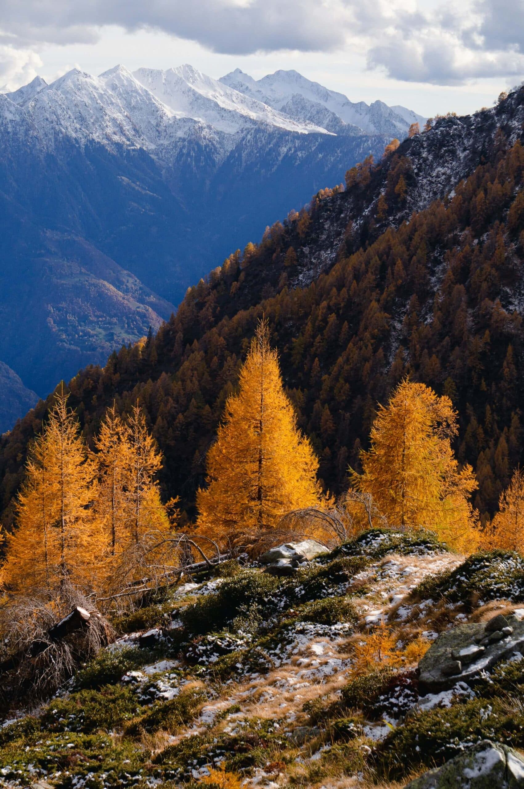 Valtellina landscape